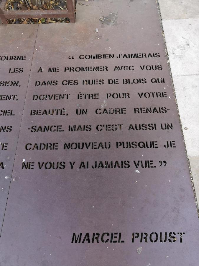 布鲁瓦Au Fil De Loire公寓 外观 照片